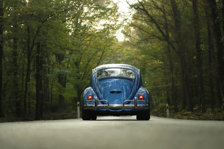 Explore the Best Car Accessories and Road Trip Tips at https://freewalkingtour.com/zadar/